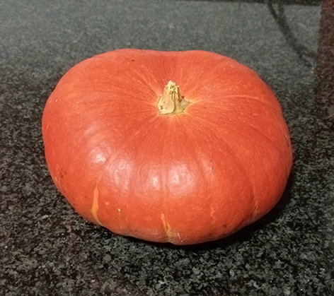 Calabaza Rouge Vif d'Étampes