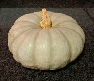 Calabaza de Asar