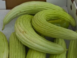 Alficòs